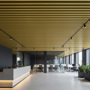 Кубоподібна Стеля — RAL 1004