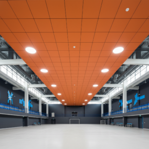Панель Стельова — RAL 2013